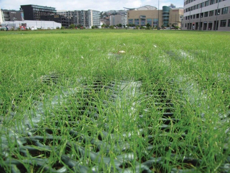 Grass Protection Mesh Standard - Slip Not Co Uk