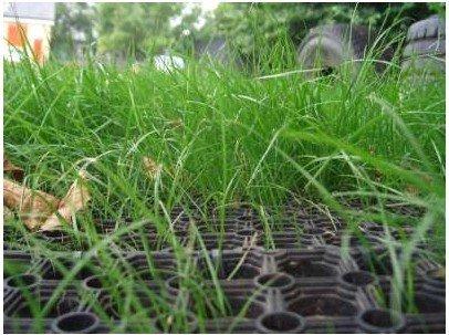 Premium Rubber Grass Mats - Slip Not Co Uk