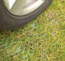 Grass Reinforcement Mesh 11mm thick - Slip Not Co Uk